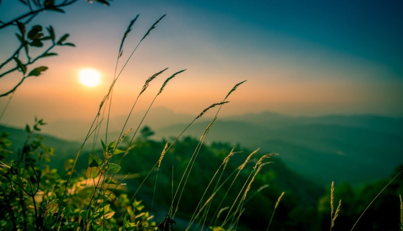 hình nền macbook thiên nhiên chất lượng