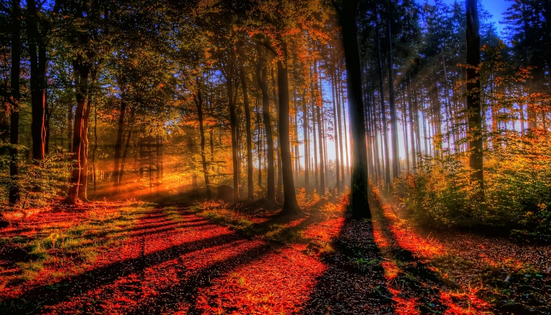 hình nền macbook thiên nhiên thư giãn