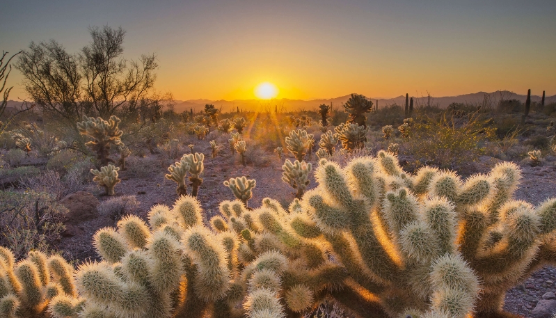 hình nền macbook thiên nhiên