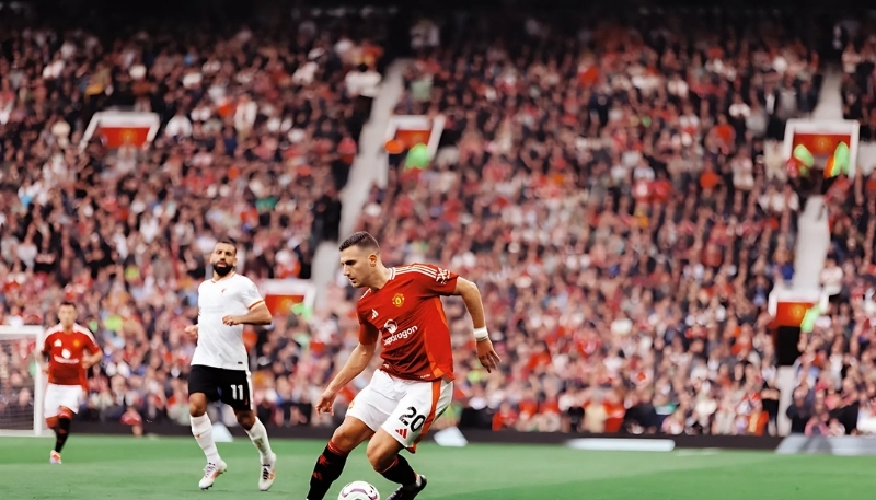 Ảnh nền Manchester United và fan sức sống