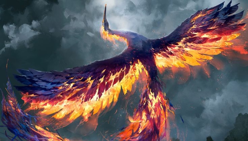 Hình nền phượng hoàng