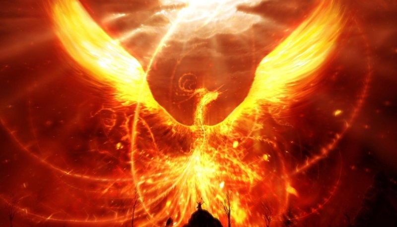 Hình nền phượng hoàng