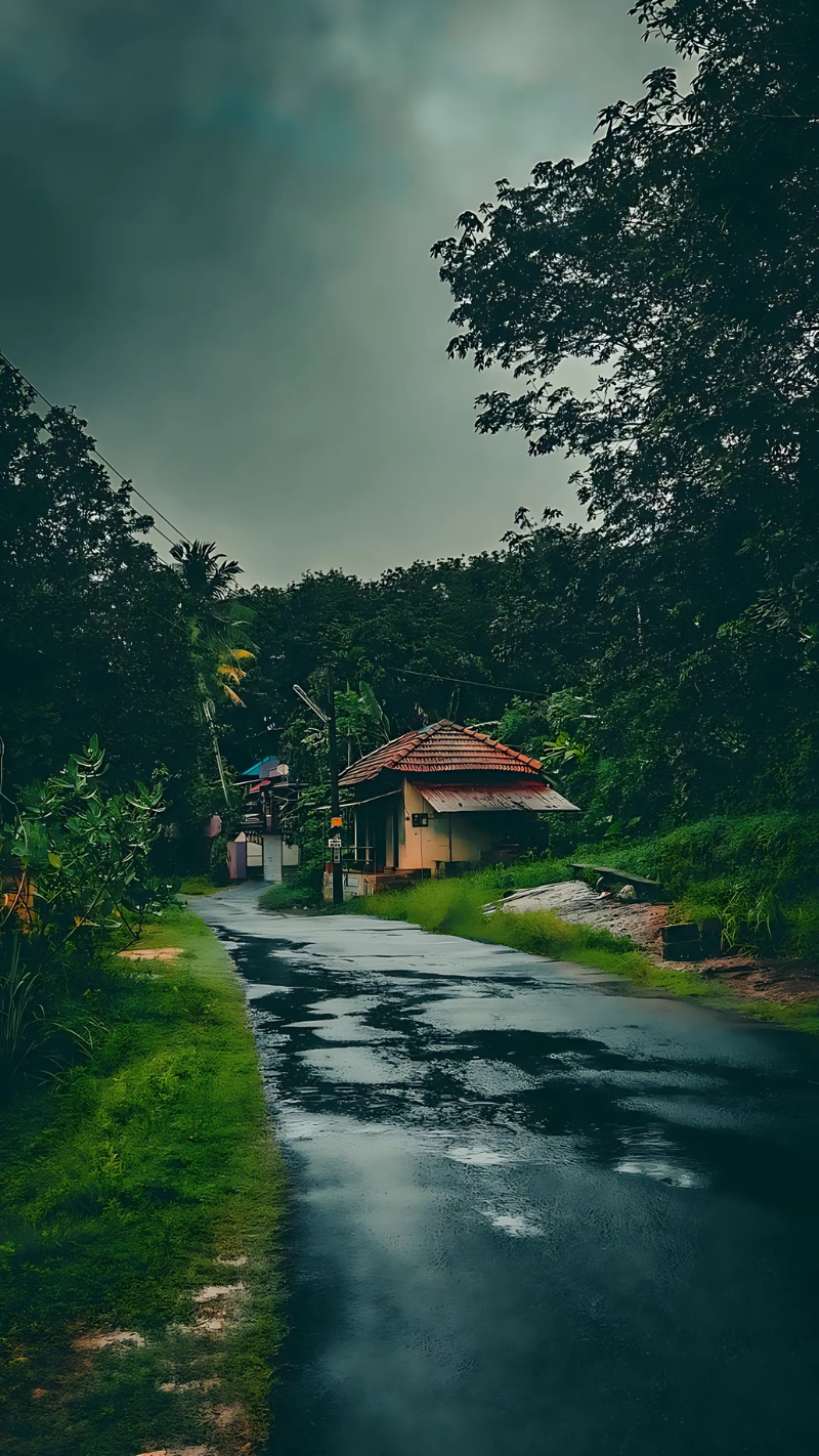 mệnh mộc hợp phong thủy