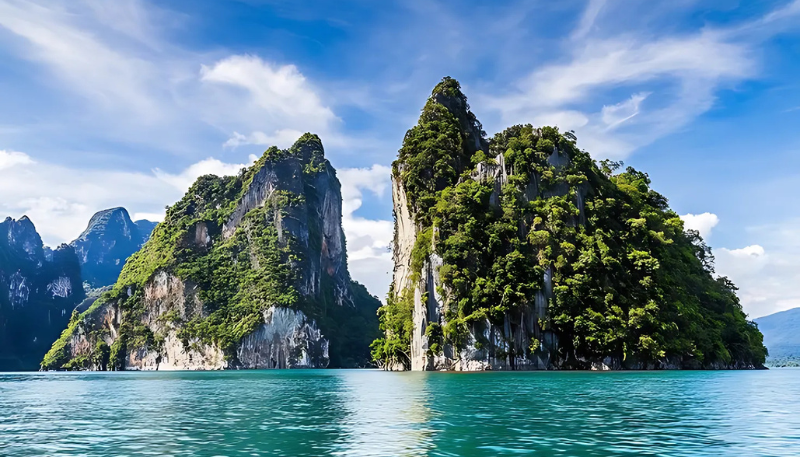 mệnh mộc để hình nền gì cho may mắn