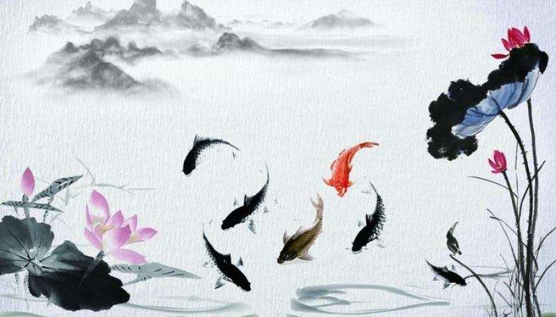 hình nền cá chép phong thủy