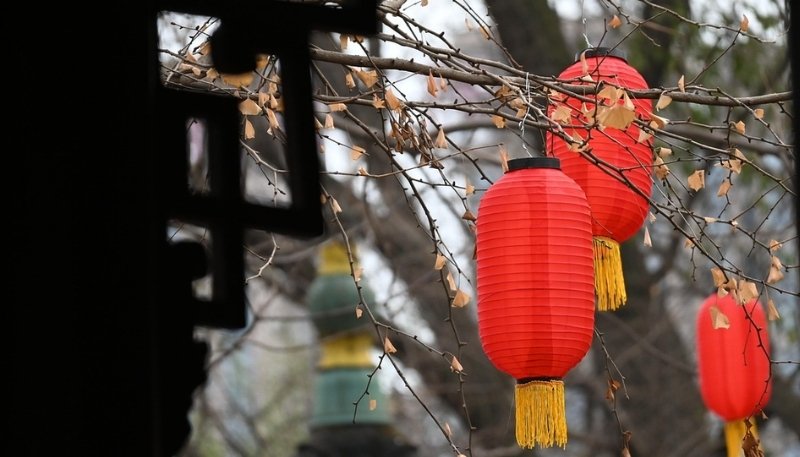 hình nền lồng đèn tết 2026 hoa lệ