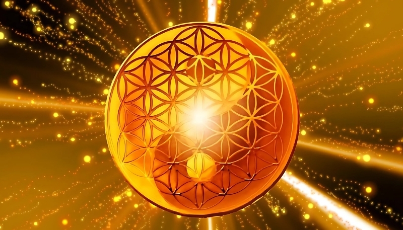 ảnh nền tiền phú quý sắc nét