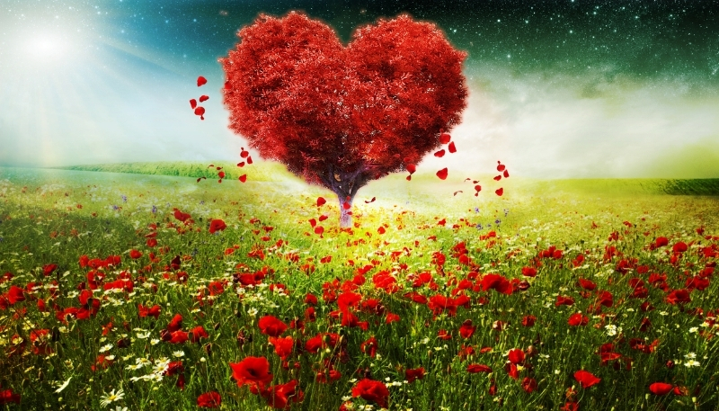 Hình nền Valentine 14-2