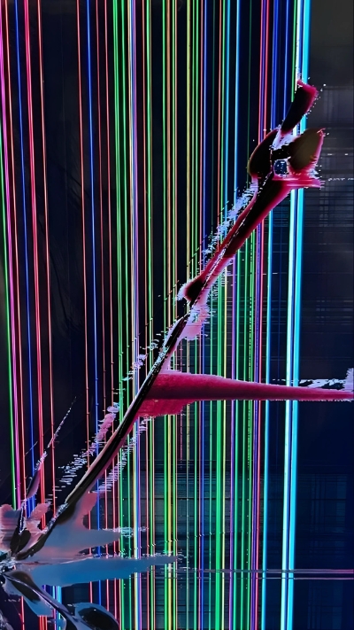 Ảnh màn hình điện thoại bị nứt cực kỳ đẹp mắt