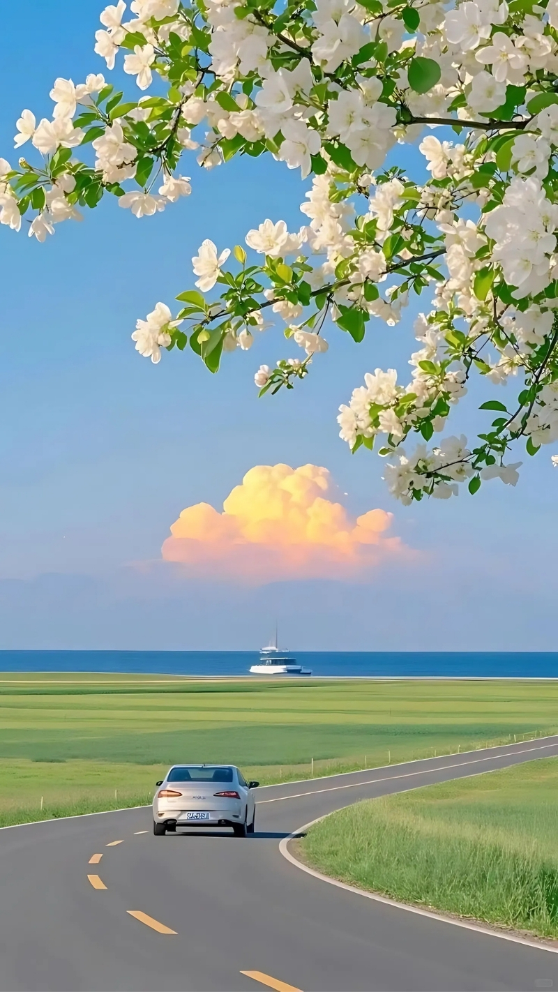 Ảnh nền zoom cute độc đáo