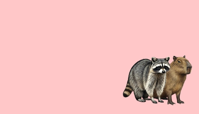 ảnh vẽ capybara con vật khác ngủ cùng