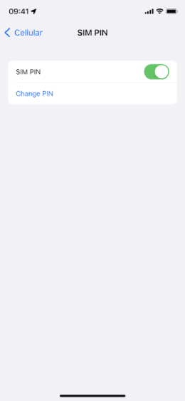 iPhone hình 11 Kích hoạt tính năng ghim SIM trên iPhone của bạn để ngăn kẻ trộm xem tin nhắn, cuộc gọi của bạn, v.v.