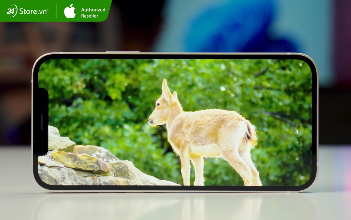 mua điện thoại iphone 12 64gb cũ