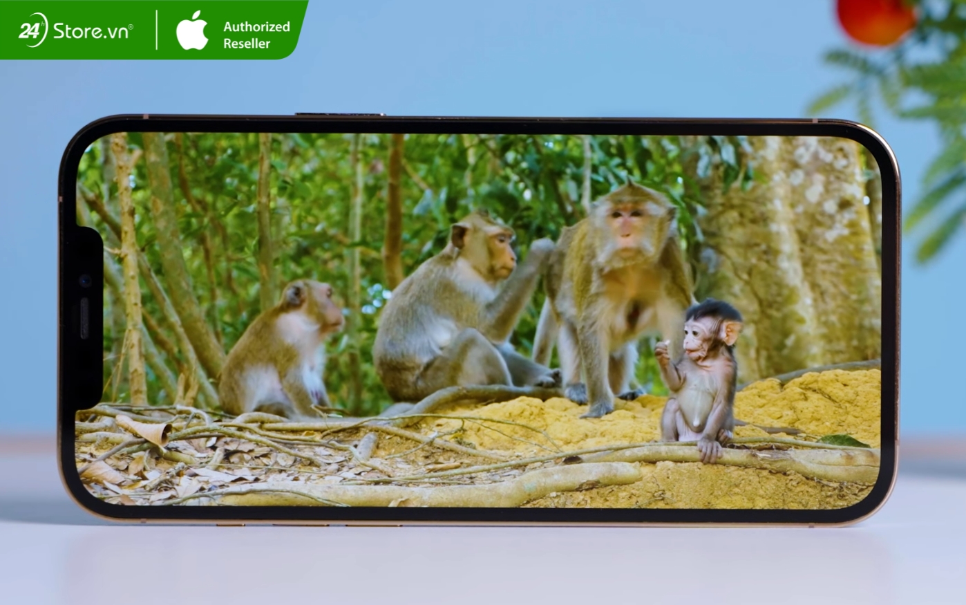 địa chỉ bán iphone 12 pro max cũ