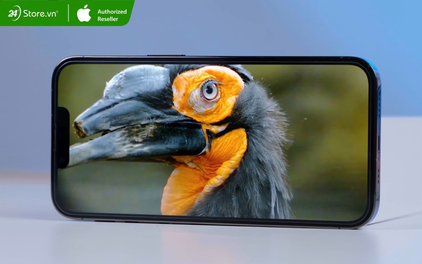 xem phim trên iphone 13 pro cũ