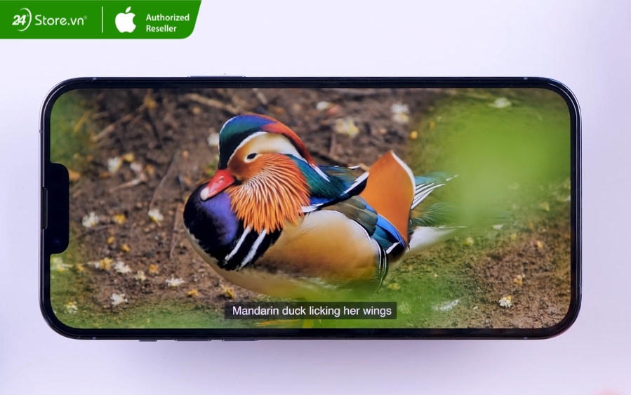 xem phim trên iphone 13 pro max cũ