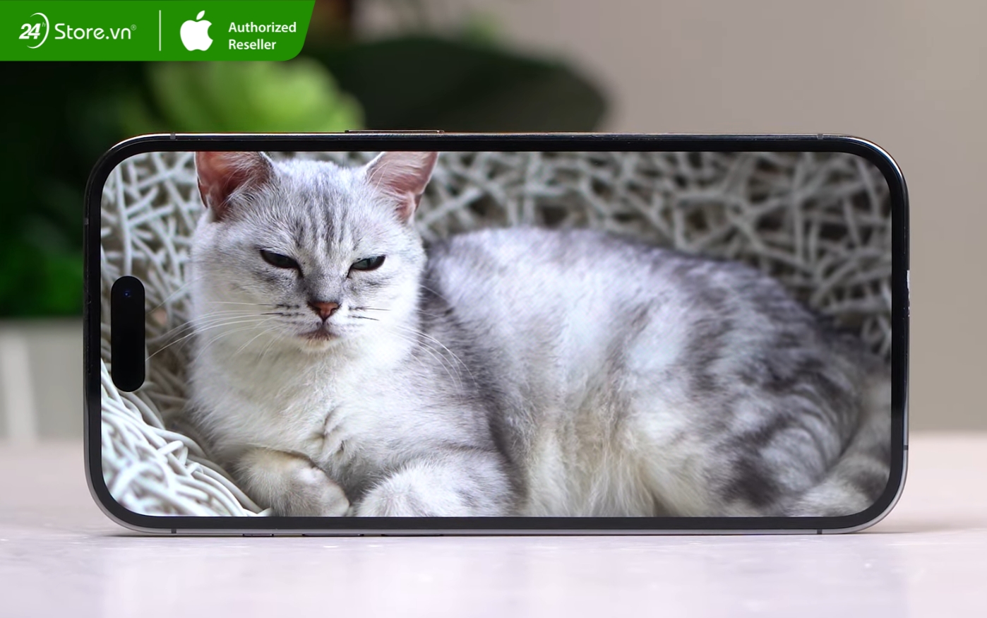 xem phim trên iphone 14 pro max cũ