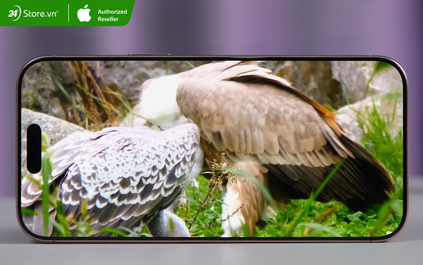 so sánh iphone 16 pro max cũ  