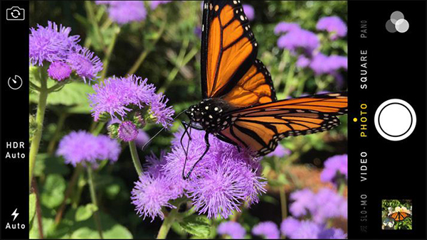 iPhone 6s 64GB Lock Cu 99% anh 6