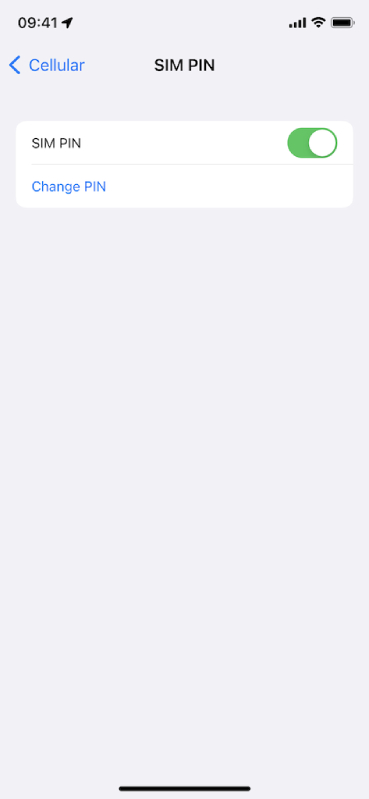 iPhone hình 7 Kích hoạt tính năng ghim SIM trên iPhone để ngăn kẻ trộm