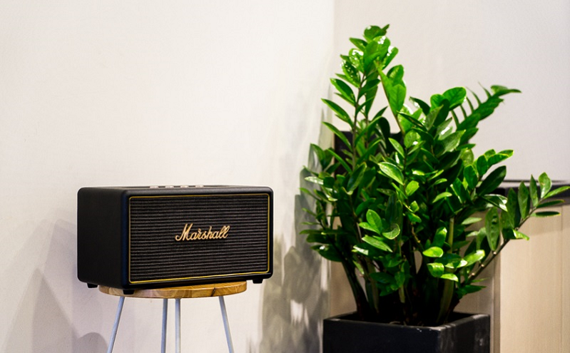  thiết kế sang trọng mang đậm phong cách Marshall