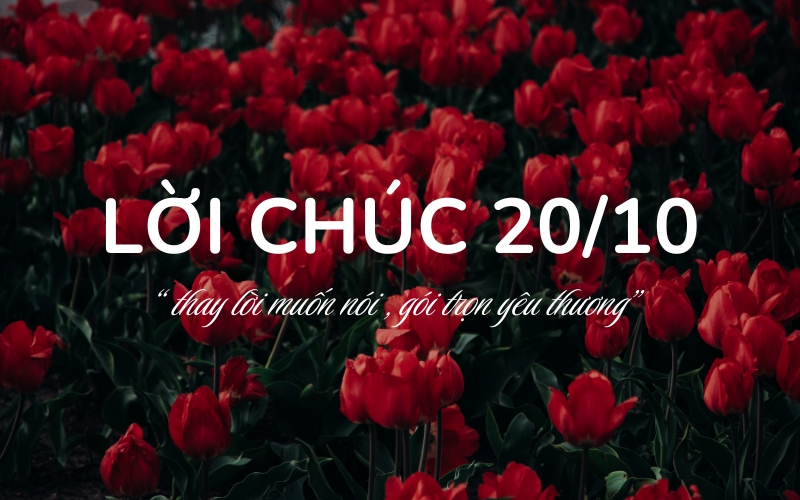 lời chúc 20/10 hay