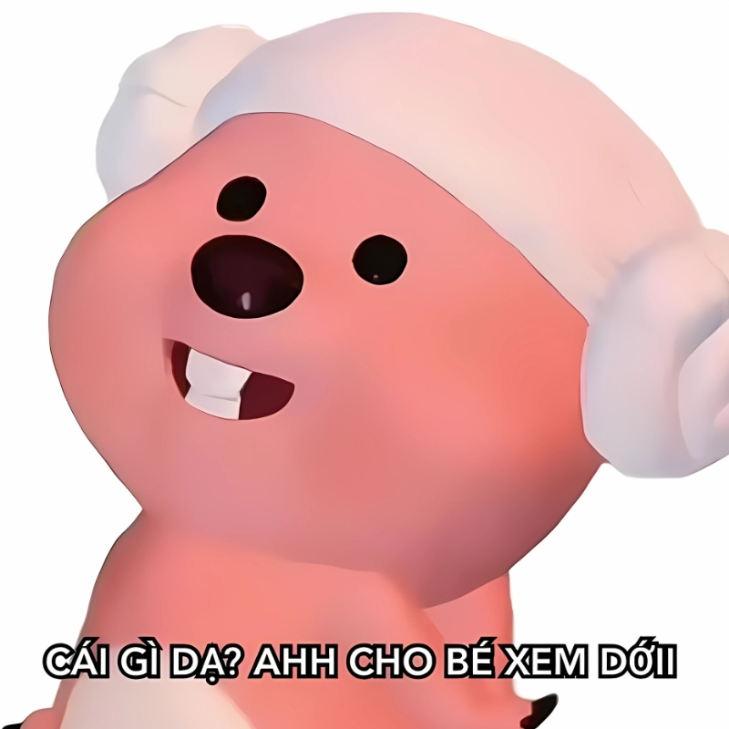 hình nền meme loopy biểu cảm hài hước cho smartphone