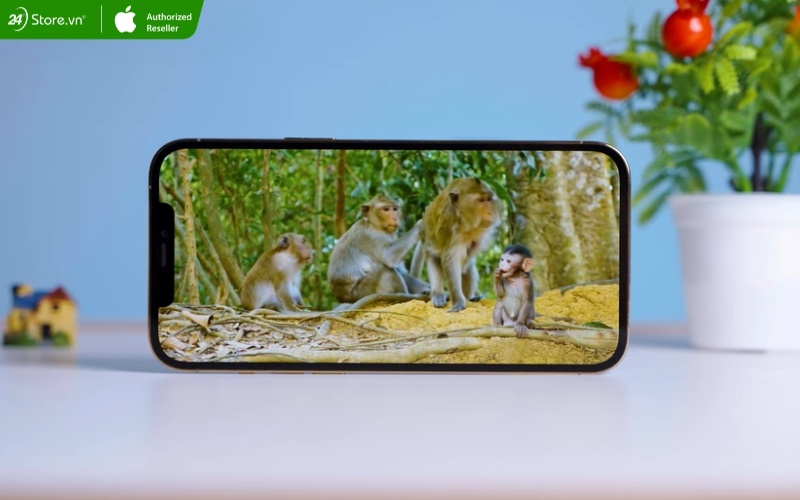 màn hình iphone 12 pro max 60hz sắc nét