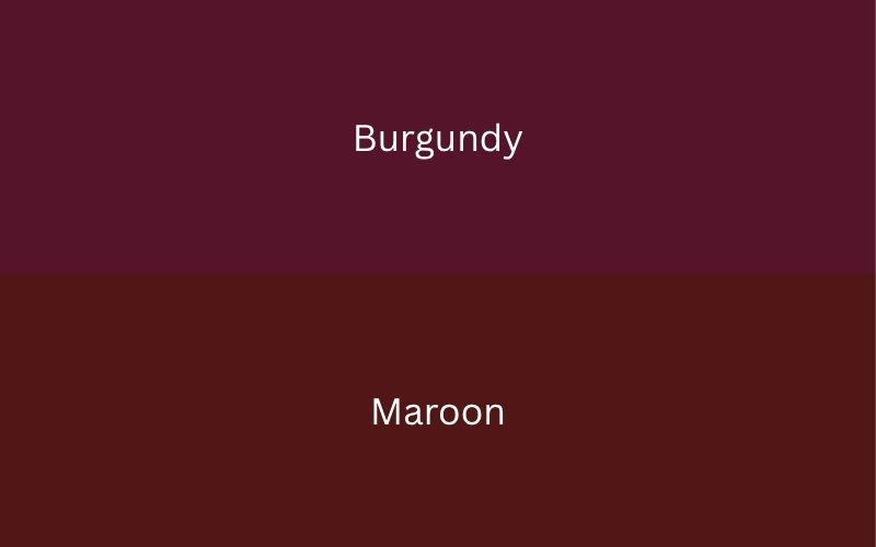 màu đỏ burgundy khác gì màu đỏ đô