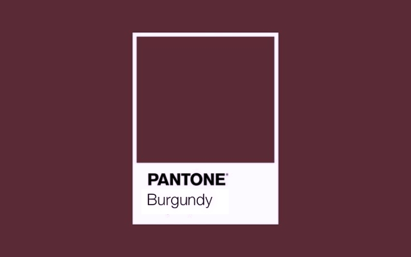 màu bunrgundy là màu gì
