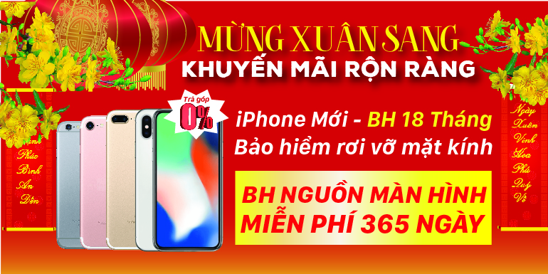 mung xuan khuyen mai hinh anh 1