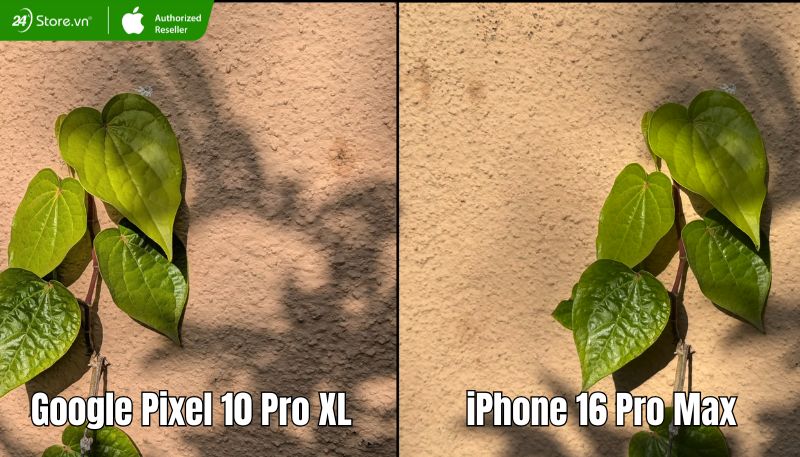 so sánh chất lượng ảnh chụp bằng camera sau Pixel 10 Pro XL và iPhone 16 Pro Max