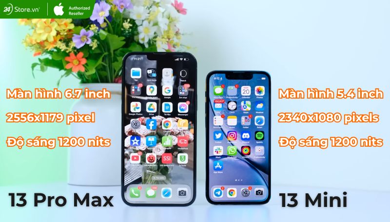 So sánh màn hình iPhone 13 Pro Max và iPhone 13 Mini