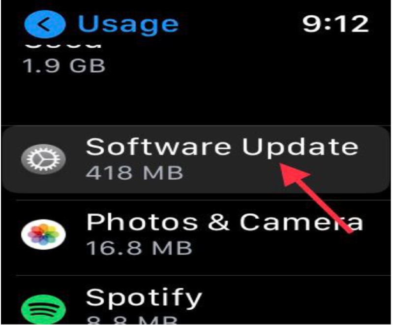 nhấn vào cập nhật phần mềm apple watch